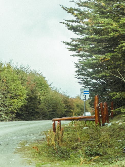 Winding forest road with route sign representing the journey to health